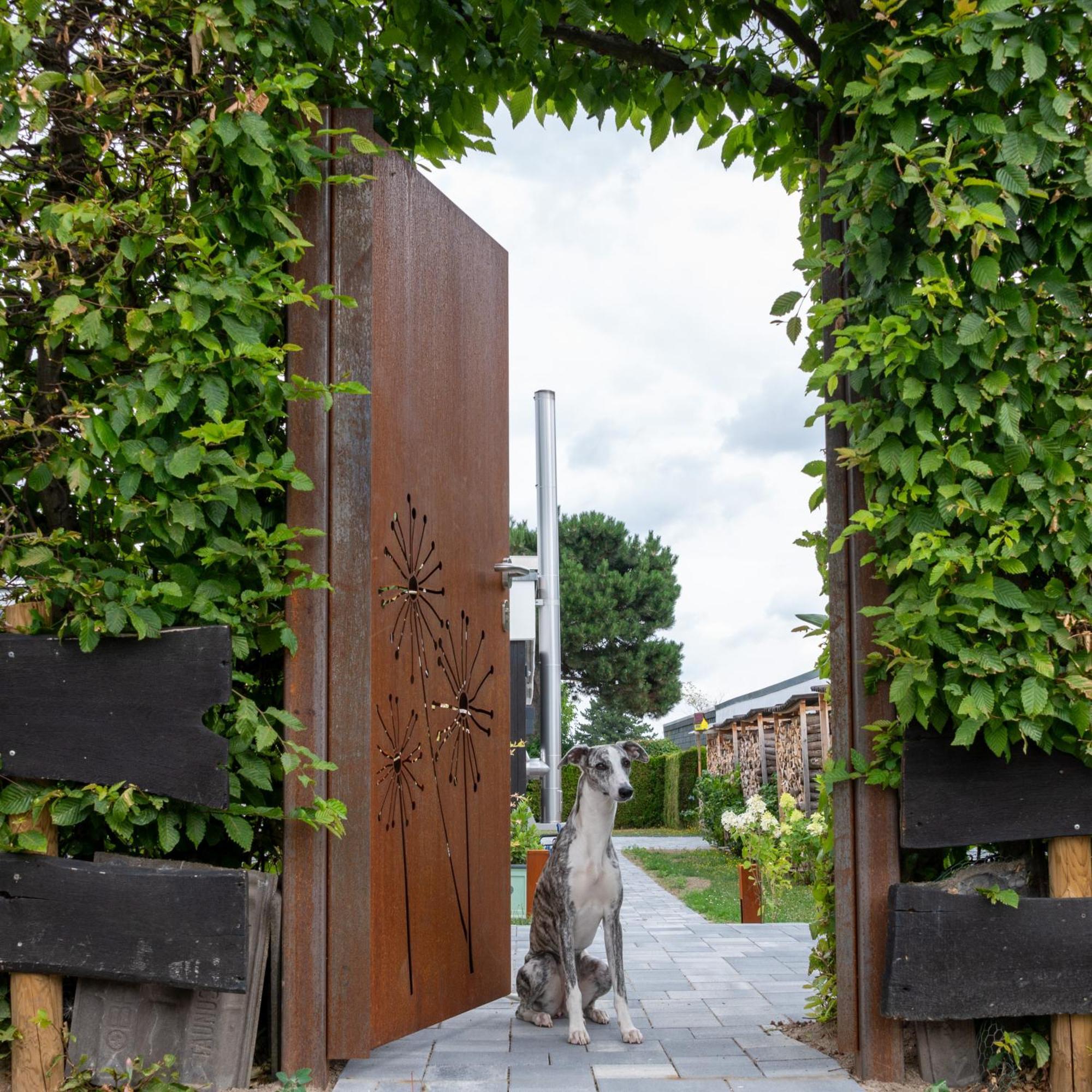 Birgits Lodge Rheinbach Exterior foto